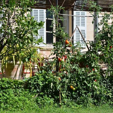 Les Passiflores Grasse Buitenkant foto