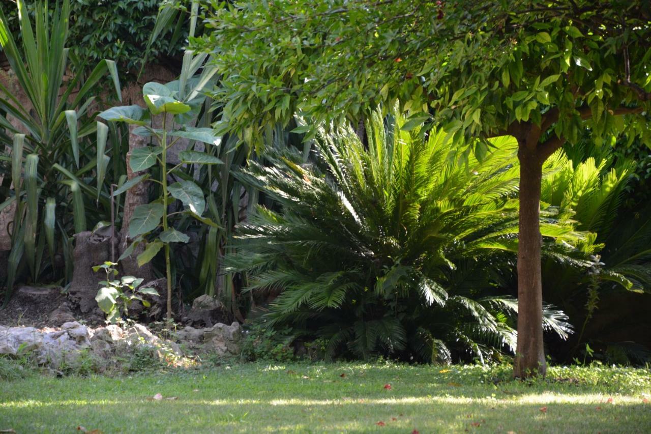 Les Passiflores Grasse Buitenkant foto
